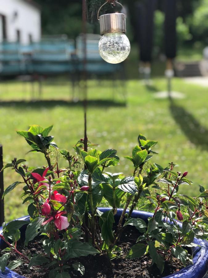 Hotel Ibsens Gaard Ebeltoft Zewnętrze zdjęcie
